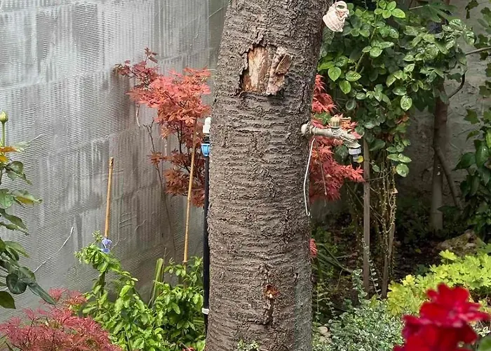 Апартаменты 